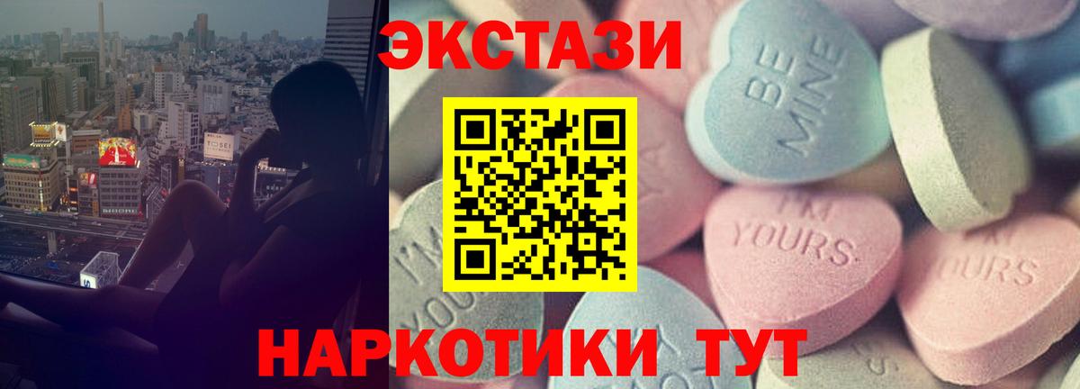 Новозыбков  ЭКСТАЗИ  Вход с VPN  сайты даркнета какой сайт  ЭКСТАЗИ 300 mg  купить  цена 