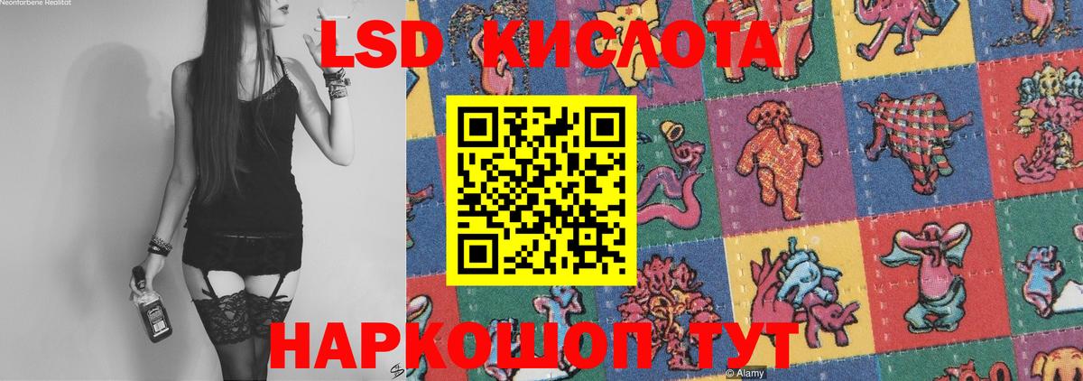 ЛСД экстази ecstasy  Вход с VPN  Лсд 25 экстази ecstasy  LSD-25 экстази  Новозыбков 