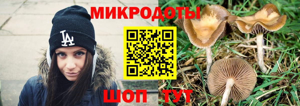 Галлюциногенные грибы мухоморы Новозыбков