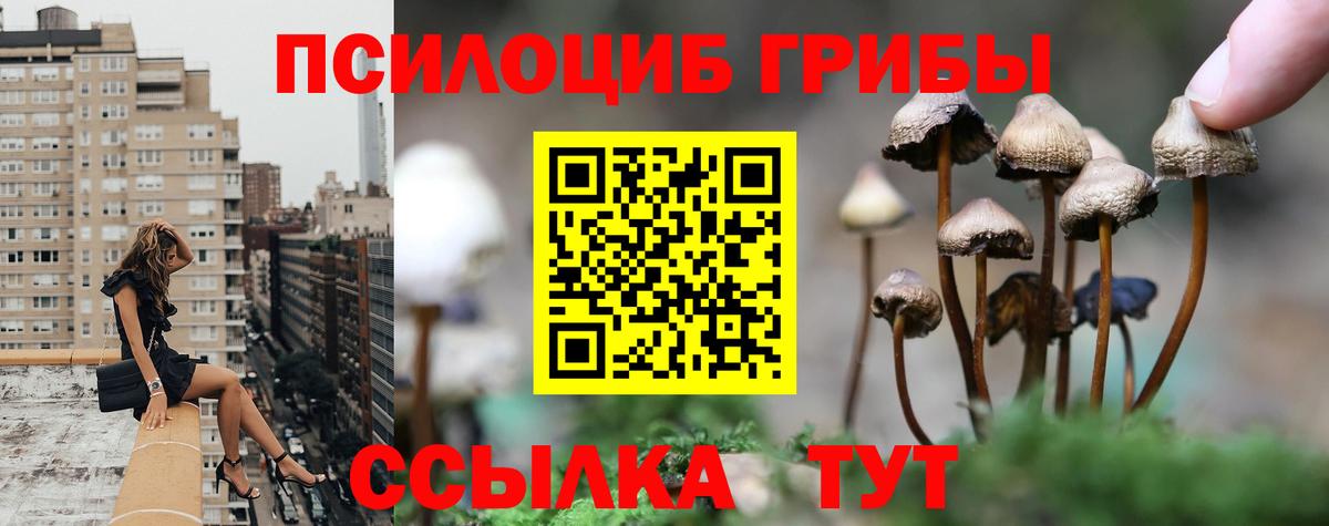 Новозыбков  Псилоцибиновые грибы Psilocybine cubensis  Галлюциногенные грибы Psilocybine cubensis  Вход с VPN 